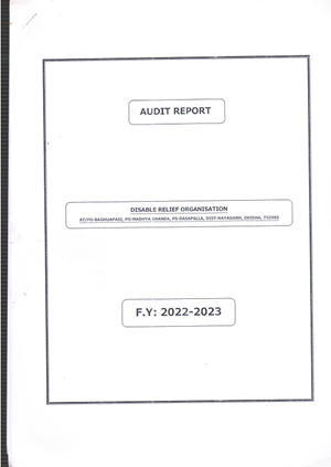 audit Report 2018-2019