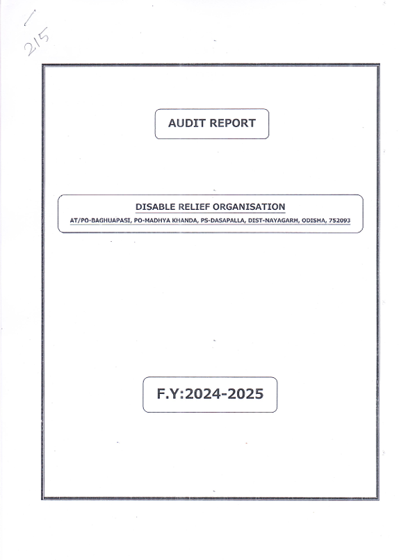 audit Report 2018-2019